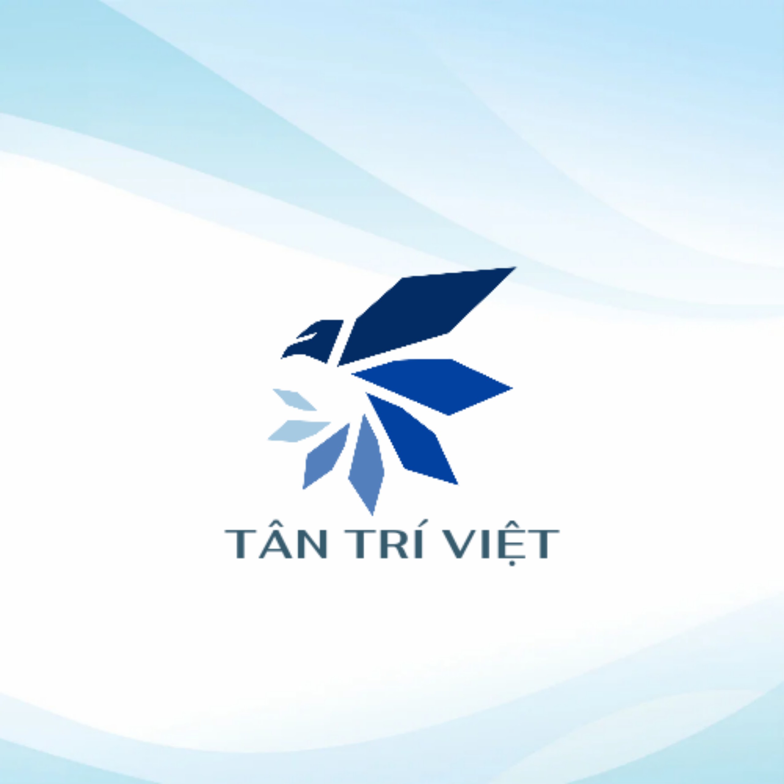 Tân Trí Việt